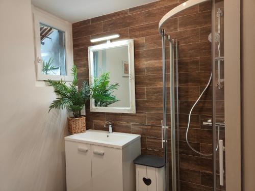 a bathroom with a white sink and a shower at Le Chat Botté Chambres et Table d'hôte sur réservation in Arthez-de-Béarn