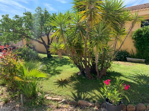 a garden with palm trees and flowers in a yard at Villa les Pensées La Londe in La Londe-les-Maures