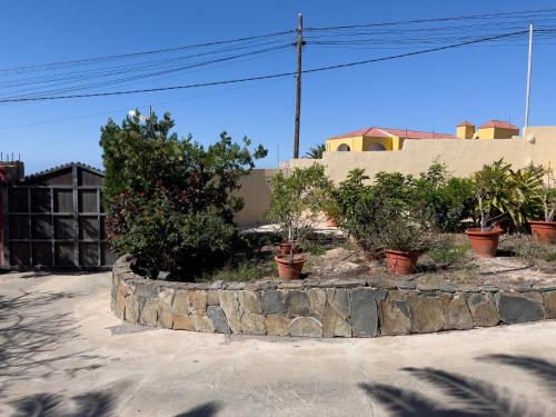 eine Gruppe von Pflanzen in Töpfen an einer Steinmauer in der Unterkunft Salobre Blue Sky 1 - Adults Only in Salobre