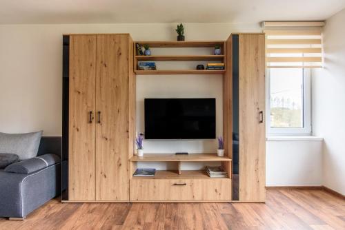 a living room with a large wooden entertainment center with a television at Apartmány Slavíkov - Superior Apartmán in Horní Radechová