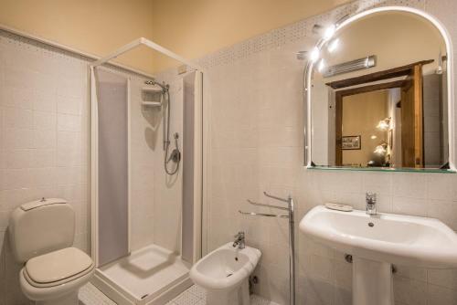 a bathroom with a toilet and a sink and a shower at Agriturismo La Ferrozzola in Castellina in Chianti