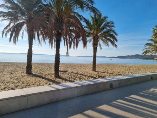 trzy palmy na plaży z drogą w obiekcie studio cabine. Terrasse w mieście Le Lavandou