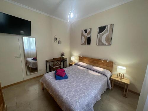 1 dormitorio con 1 cama grande y TV en Rooms Barco, en Madrid