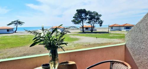a vase of flowers sitting on a table with a view of the ocean at FKK Ada Bojana in Ulcinj