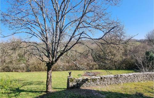 a tree in a field next to a stone wall at Les Lumas in Taizé-Aizie