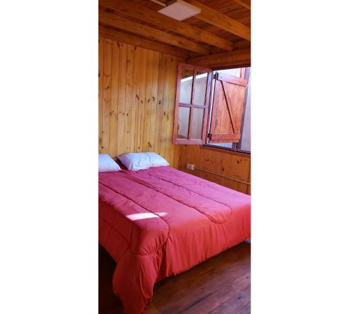 a bed in a wooden room with a window at Hermosa Cabaña Con Pileta in Chivilcoy