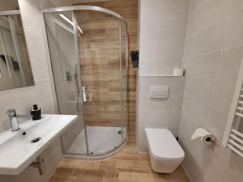a bathroom with a shower and a toilet and a sink at Apartmán Adéla in Černé Údolí