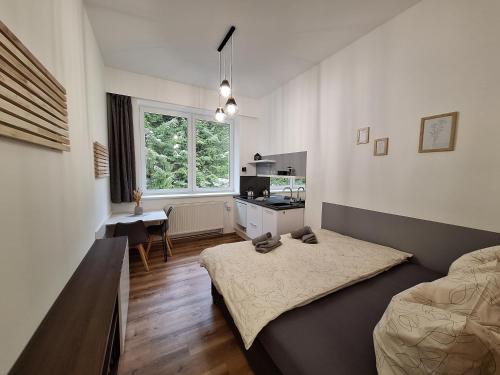 a room with two beds and a kitchen in it at Apartmán Adéla in Černé Údolí