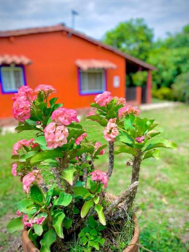 una maceta con flores rosas delante de una casa en Finca el Paraíso en San Gil