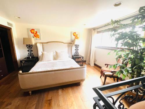 1 dormitorio con 1 cama y una maceta en The Cozy Villa, en Los Ángeles