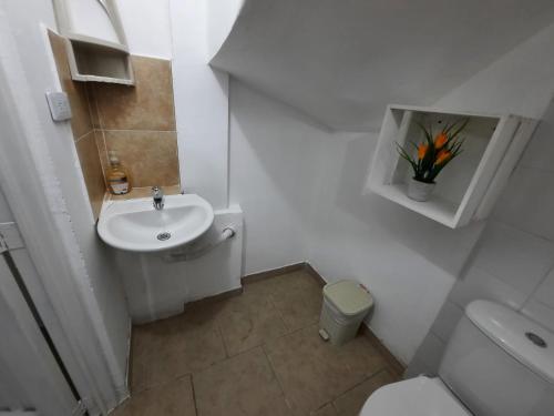 ein kleines Bad mit einem Waschbecken und einem WC in der Unterkunft Espectacular apartamento primer piso capacidad 6 personas in Villamaría