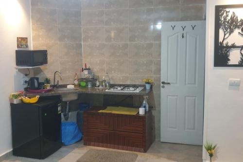 a kitchen with a counter and a sink and a stove at Newly renovated cozy studio 2 min 2 SEA in Alexandria