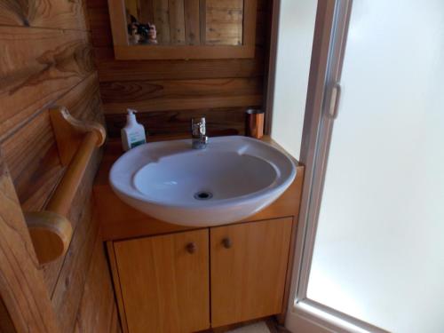 a bathroom with a sink in a tiny house at Willowbrook in Ohakune