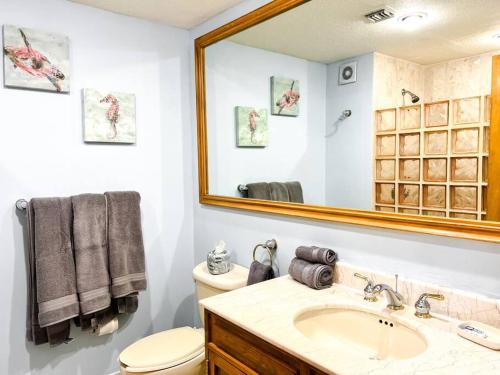 a bathroom with a toilet and a sink and a mirror at Sandy Beach Sonoran Spa W504 Ocean Front Resort in Puerto Peñasco