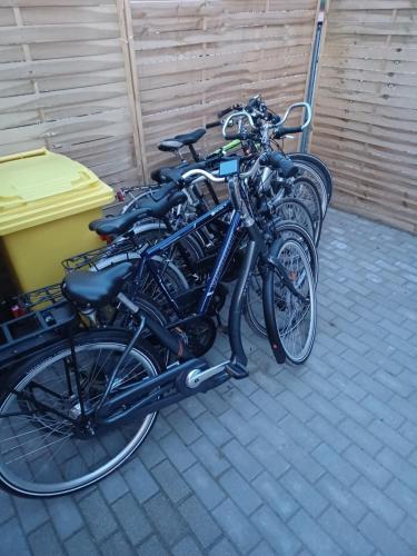 Ciclismo en Dom z Sauną i Jacuzzi Rowery Elektryczne o alrededores