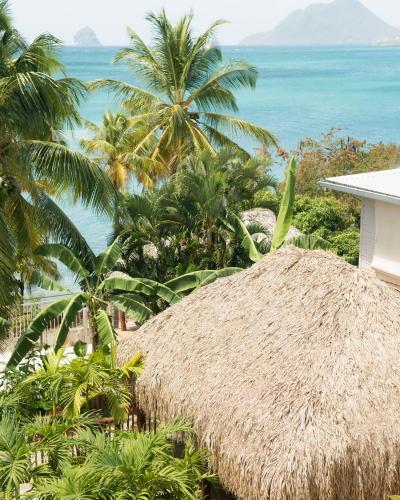 a straw hut with palm trees and the ocean at Hôtel Iloma in Sainte-Luce