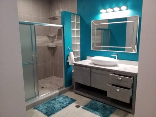 y baño con lavabo y ducha con espejo. en Coconut Creek Apartments Beautiful Spacious Studio en Hyde Park