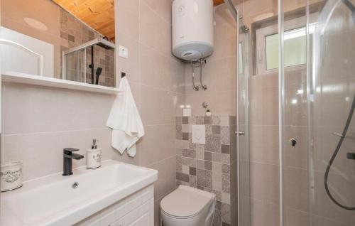 uma casa de banho com um chuveiro, um WC e um lavatório. em Apartment Green Peace em Zadvarje