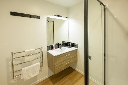 une salle de bain avec un lavabo et une douche dans l'établissement Alpine Studio Coulson, à Lac Tekapo