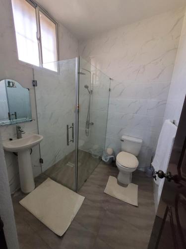 a bathroom with a shower and a toilet and a sink at Departamento Luna en Santo Domingo in Santo Domingo