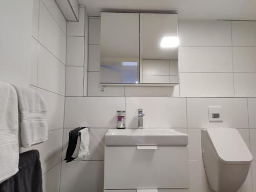 a white bathroom with a sink and a toilet at Ferienwohnung Eyach in Balingen