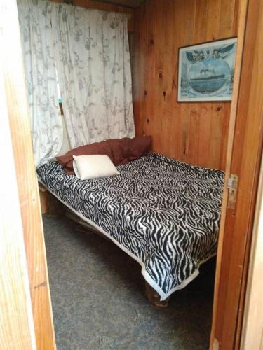 ein kleines Bett in einem Zimmer mit Zebramuster in der Unterkunft Dinamos Mx - Paidos in Mexiko-Stadt