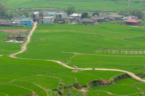 a green field with a village in the background at Truong Nhan Tram Tau Homestay in Cham Ta Lao