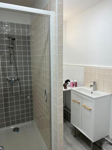 une salle de bain avec douche et lavabo dans l'établissement Moulins centre - Appartement N*5, à Moulins
