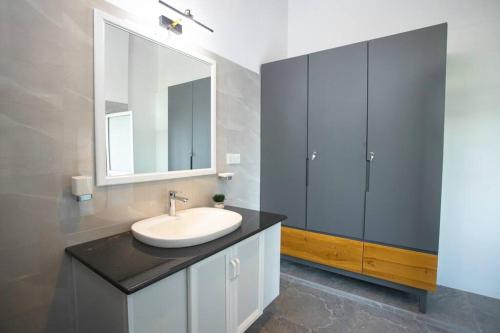 W łazience znajduje się umywalka i lustro. w obiekcie The Greens Luxury Boutique Villa w mieście Karagampitiya