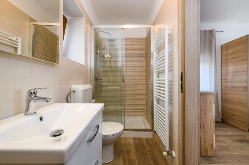 a bathroom with a sink and a toilet and a shower at House Angela with private pool, private parking, wi-fi and fully fenced garden - WiiBuk in Divšići