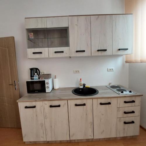 una piccola cucina con lavello e microonde di Rio Apartament a Constanţa