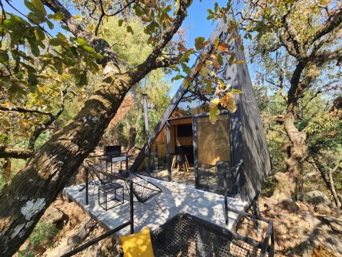 a rendering of a black tent in a forest at Grasshopper Cabañas in Cuautla Morelos