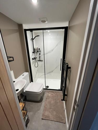 a bathroom with a shower and a toilet and a sink at Auctioneers Cottage in Louth