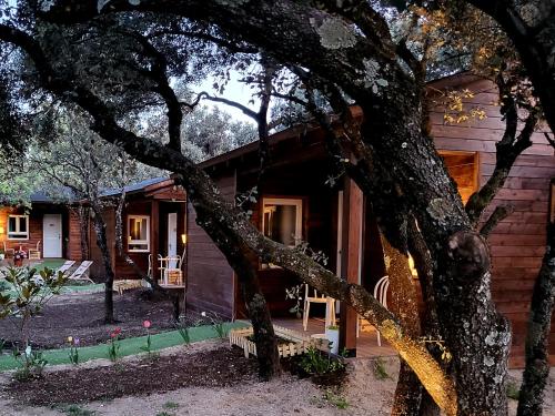 a log cabin with a tree in front of it at De Rafael Cabañas de Madera in Venturada