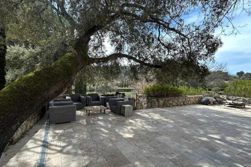 Photo de la galerie de l'établissement La Terrasse Collongue, à Lourmarin