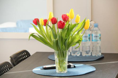 a vase of red and yellow tulips sitting on a table at Hacienda in Sopot