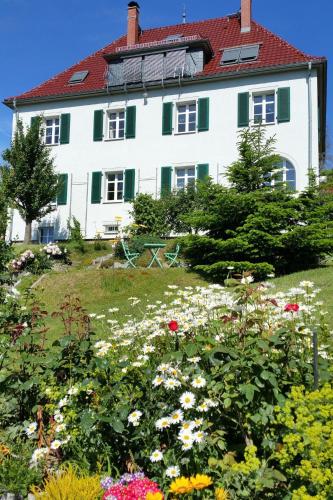 a house on a hill with flowers in the foreground at Villa Sonnenblick in Sebnitz
