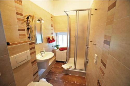 a bathroom with a shower and a toilet and a sink at Villa Sonnenblick in Sebnitz