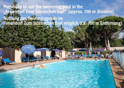 - une piscine avec des personnes à l'eau dans l'établissement Feriendorf La Mora, à Calvi