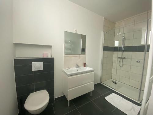 a bathroom with a toilet and a sink and a shower at L'ANNEXE DE L'AMERIVIERE in Aubrives