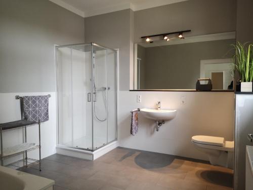 a bathroom with a shower and a toilet and a sink at Ferienwohnung im Bahnhof Lügde in Lügde