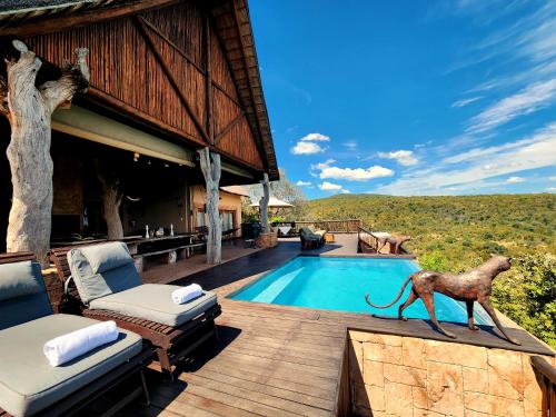 a statue of a camel standing on the edge of a swimming pool at Phumelo Lodge in Bela-Bela