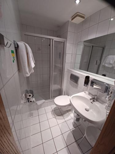 ein Bad mit einem Waschbecken, einer Dusche und einem WC in der Unterkunft Augustusberg Hotel & Restaurant in Bad Gottleuba