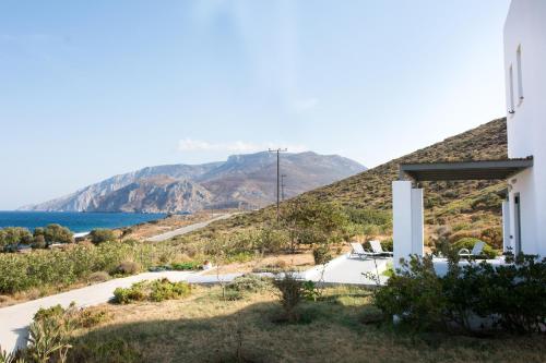 uma casa com vista para o mar e para as montanhas em Grand Villa Lino em Skiros