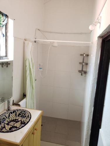 a bathroom with a sink and a shower at Bay View Apartments Canouan Island in Canouan