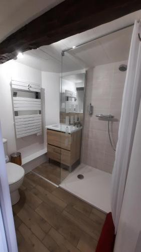 y baño con ducha, aseo y lavamanos. en L'Ostal de Gagnac, en Gagnac-sur-Cère