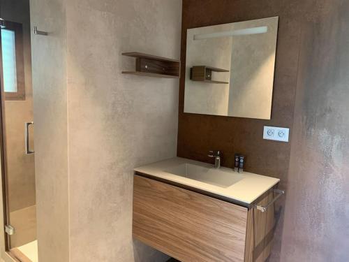uma casa de banho com um lavatório e um espelho em Magnifique studio au bord du lac du Bourget à proximité d'Aix-les-Bains em Tresserves