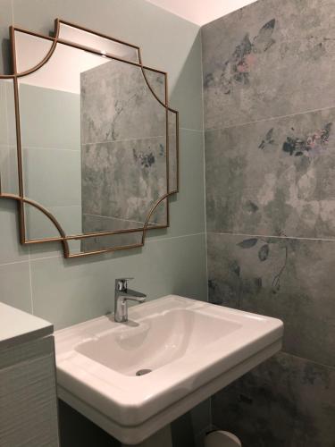 a bathroom with a sink and a mirror at Guest-House Château de Longecourt en Plaine in Longecourt-en-Plaine