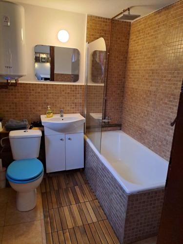 a bathroom with a tub and a toilet and a sink at Casa Petri Rosia Montana in Roşia Montană