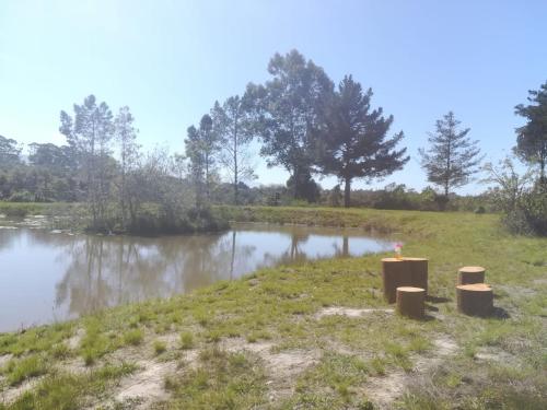 a field with a pond and trees in the background at Beessential Farm in The Crags